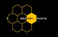 Bee Art photo